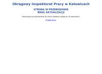 Państwowa Inspekcja Pracy w Katowicach