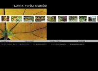 Larix - Twój Ogród