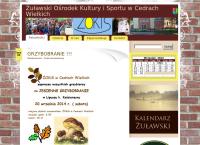 Strona internetowa z Żuławski Ośrodek Kultury i Sportu w Cedrach Wielkich