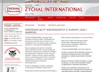 Strona internetowa z Zychal International Zbigniew Zychal