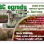 ABC OGRODU