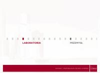 Strona internetowa z Labro Technologie Paweł Chrząszcz i Wspólnicy sp.k.