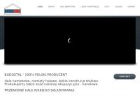 Strona internetowa z Budostal Dariusz Sikorski