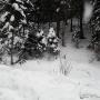 Dodane przez klienta firmy 14.04.2018 - Bieszczady