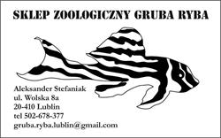 Gruba Ryba Sklep Zoologiczny Aleksander Stefaniak