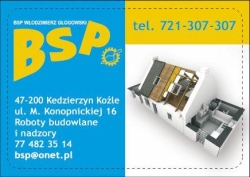 BSP Włodzimierz Głogowski