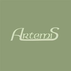 Artemis Gabinet Kosmetyczny
