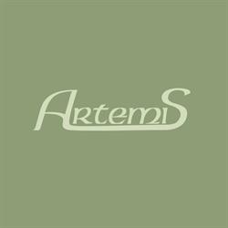 Artemis Gabinet Kosmetyczny