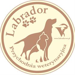 Labrador - Lecznica Dla Zwierząt