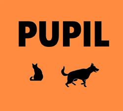 Pupil. Sklep. Owczyńska A.