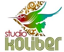 Studio Piosenki Koliber