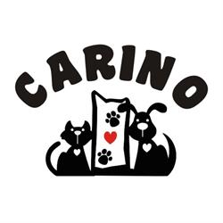 Carino Salon Strzyżenia i Pielęgnacji Psów