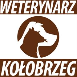 Chodorowski Adam, lek. wet. Usługi weterynaryjne