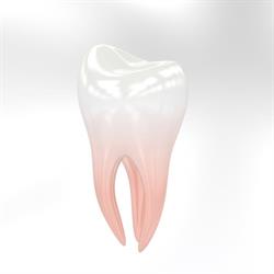 Apex-Dent