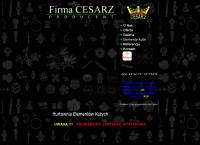 Cesarz. Bramy, Automatyka. Ogrodzenia