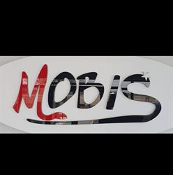 Mobis Przemysław Woźniak
