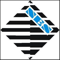 Nes Eurocon Sp. Z O.o. It, Consulting, Trading