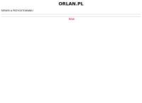 Strona internetowa z Orlan Sp. z o.o.
