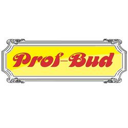 Prof-Bud. Dariusz Radoń