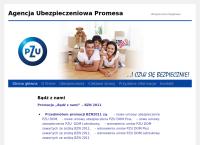 Agencja Ubezpieczeniowa Promesa. Grzegorz Pajor