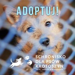 Schronisko dla bezdomnych zwierząt Towarzystwa Opieki nad Zwierzętami w Polsce