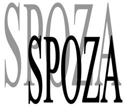 Stowarzyszenie Pomocy Osobom z Problemami Emocjonalnymi "Spoza"