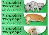Przychodnia Weterynaryjna S.c. Marcin Skorupka, Tomasz Wojnar