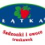 truskawki - logo