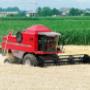 massey ferguson