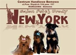 Salon New York - Strzyżenie Psów Warszawa Bemowo