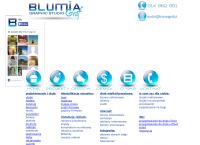 Strona internetowa z Blumiagraf Paulina Mleczko
