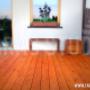 www.tarastudio.pl