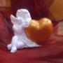 aniol