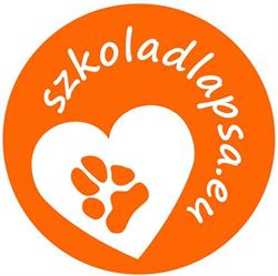 Bielska Szkoła Dla Psa- Kasia Trenerka Psów & Podbeskidzie i Podhale