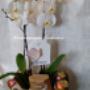 kosz w Kwiaciarnia Orchidea