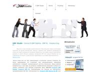 Strona internetowa z Erp Studio