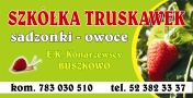 Szkółka Truskawek