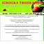OFERTAQ - SADZONKI KOPANE