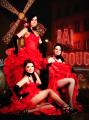 Show Taneczne Moulin Rouge