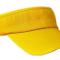 sunvisor