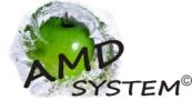 Amd System