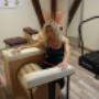 Royal Fitness Planet