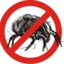 STOP ALERGII