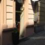 Galeria Sztuki FOX