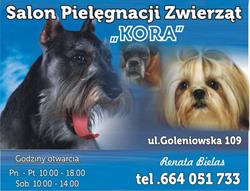 "kora" Salon Pielęgnacji Zwierząt