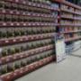 Market E-NOBI.PL