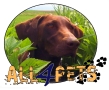 All4pets