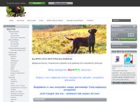 Strona internetowa z All4pets