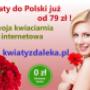 Zapraszamy