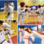 Bydgoska Szkoła Kyokushin Karate
